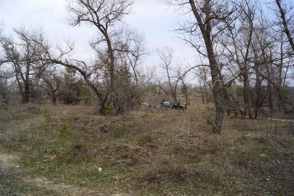 Кряківка з panoramio.com - Кряковка