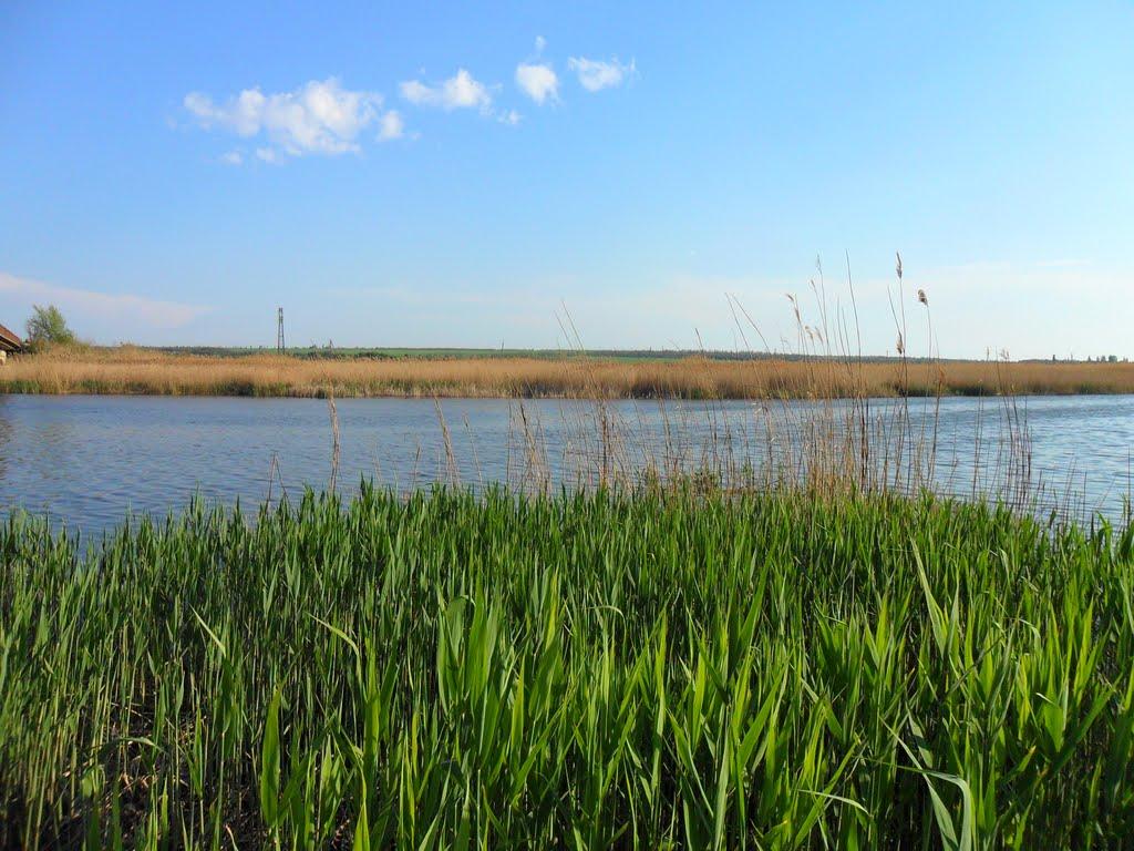Григорівка з panoramio.com - Григоровка