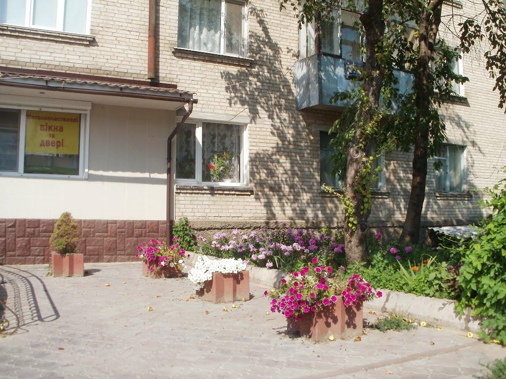 Теплик з panoramio.com - Теплик
