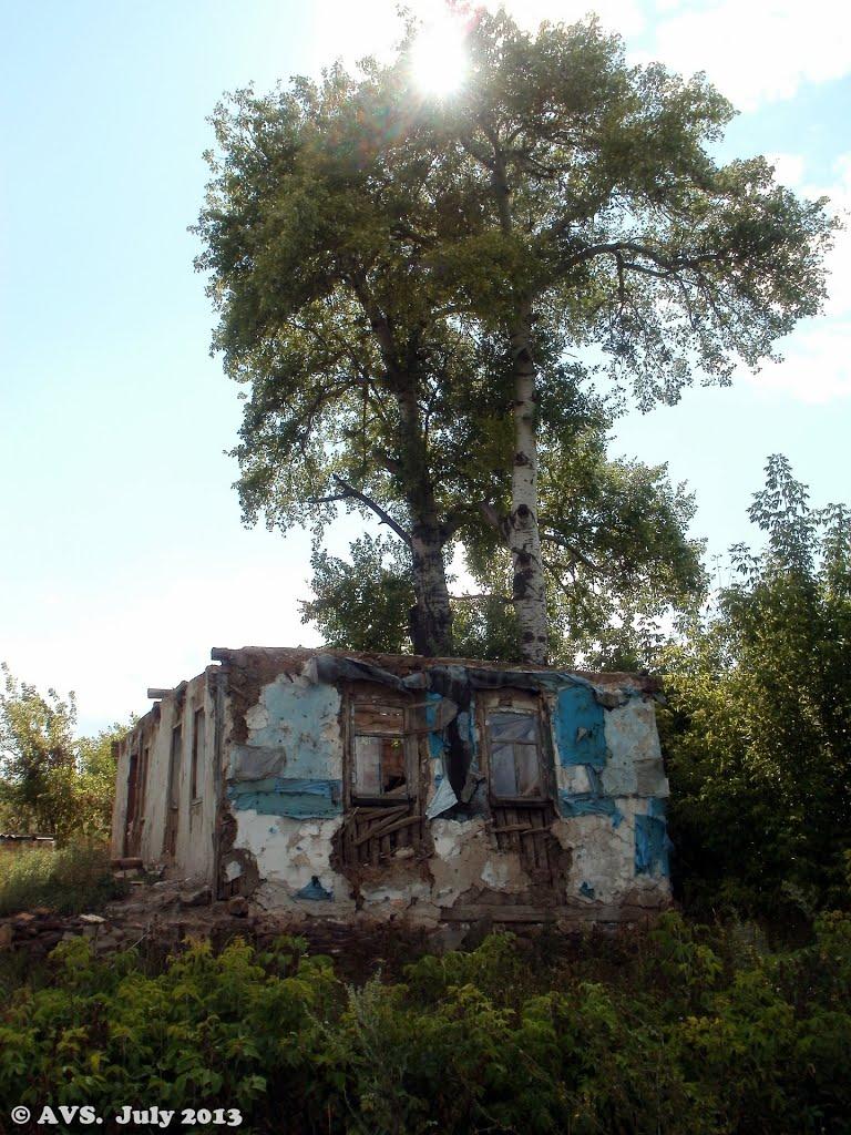 Никифорівка з panoramio.com - Никифорівка