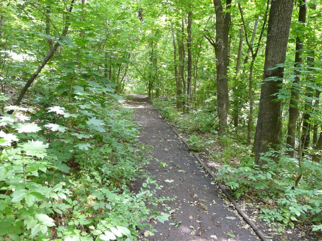 Оникієве з panoramio.com - Оникієве