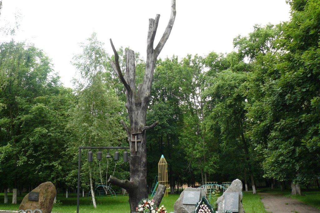 Народичі з panoramio.com - Народичи