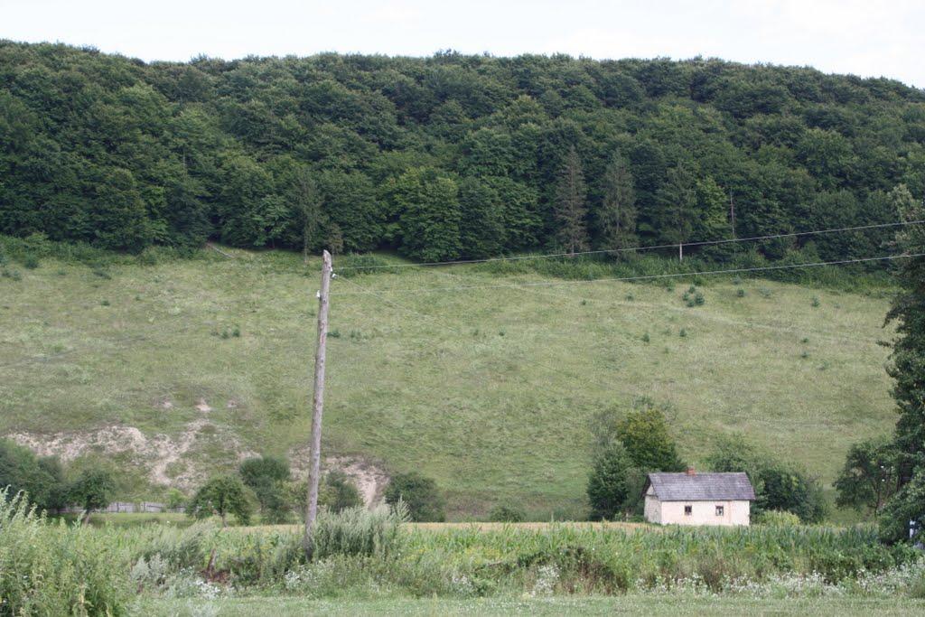 Рекшин з panoramio.com - Рекшин