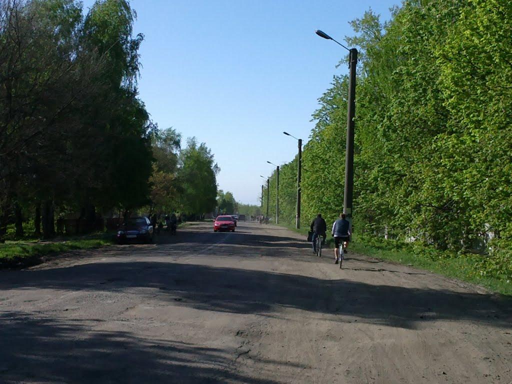 Шрамківка з panoramio.com - Шрамківка