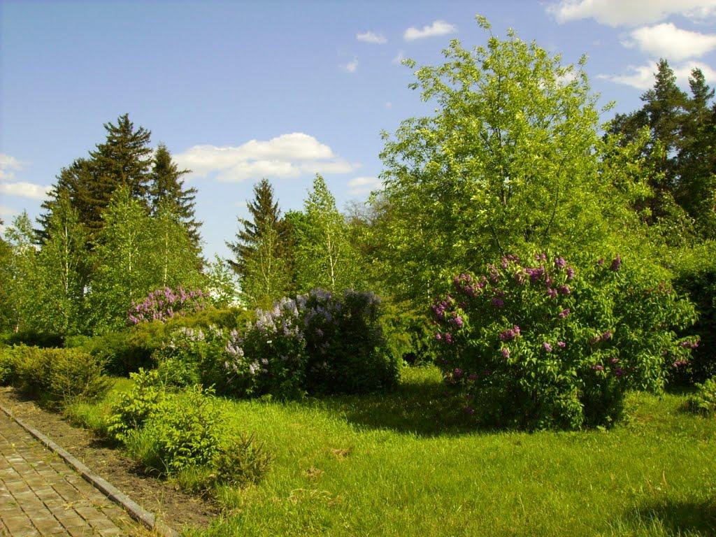 Оникієве з panoramio.com - Оникієве