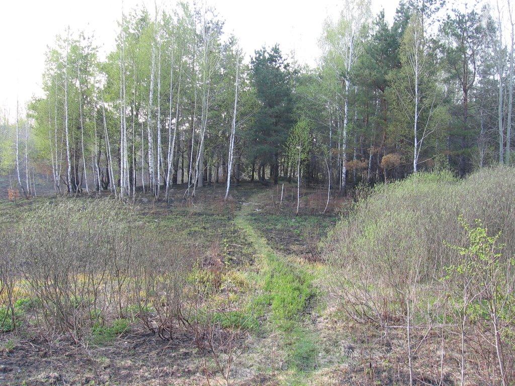 Люботин з panoramio.com (ч.2) - Люботин