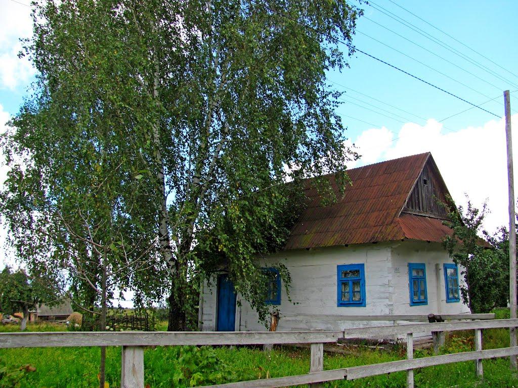 Старий Чорторийськ з panoramio.com - Staryy Chortoryysk