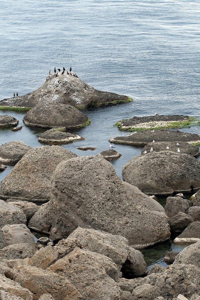 Багатівка з panoramio.com - Богатовка