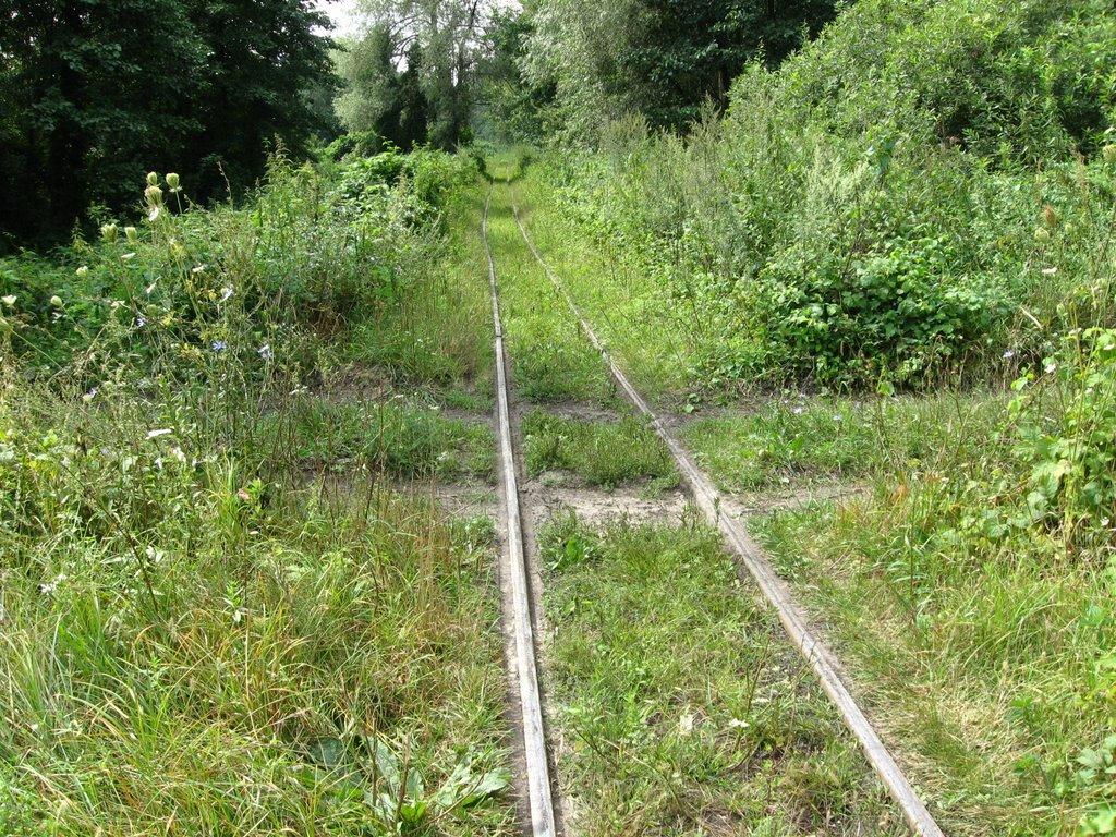 Смолин з panoramio.com - Смолин