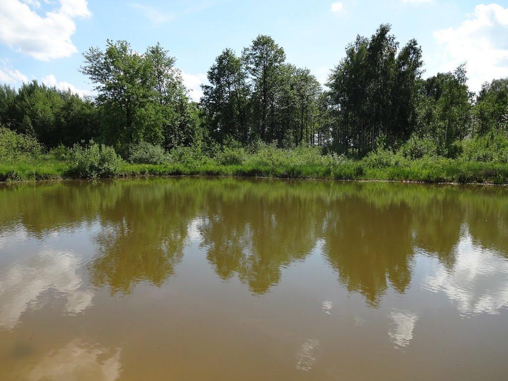 Писарівка з panoramio.com - Писарівка