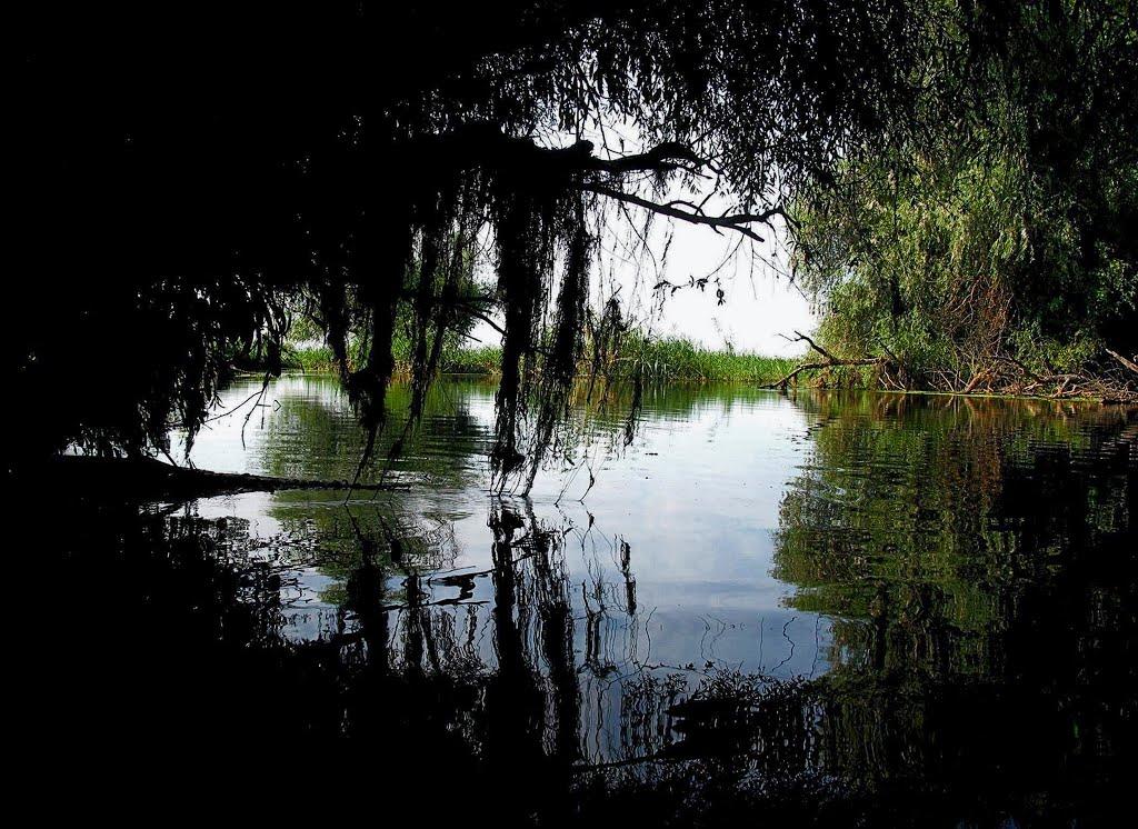 Стара Некрасівка з panoramio.com - Стара Некрасівка