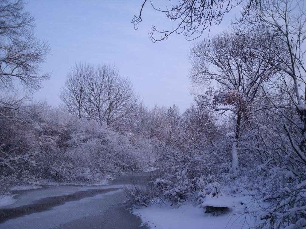 Тисобикень з panoramio.com - Тисобикень