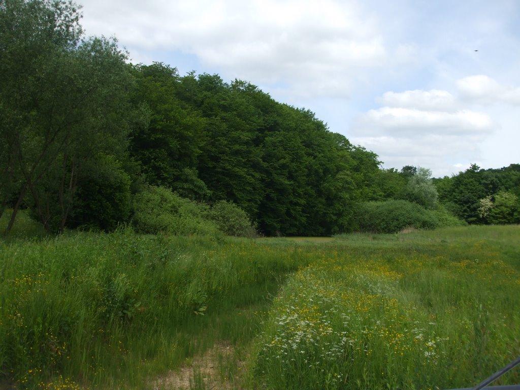 Могилівка з panoramio.com - Могилівка