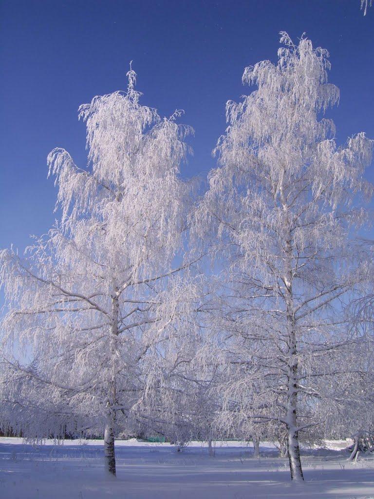 Верхоріччя з panoramio.com - Верхоречье