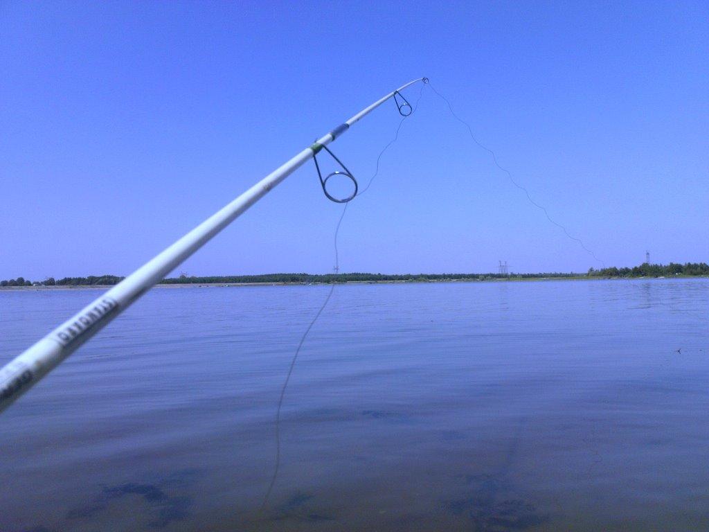 Колониці з panoramio.com - Колониці