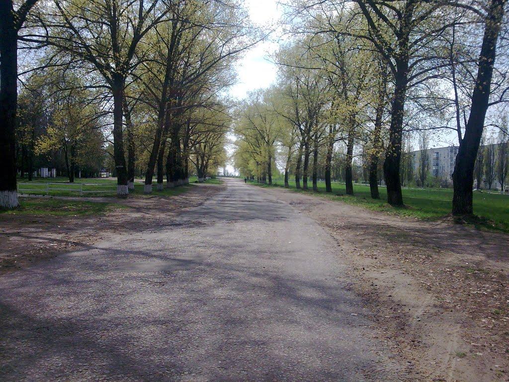 Кролевець з panoramio.com - Кролевец