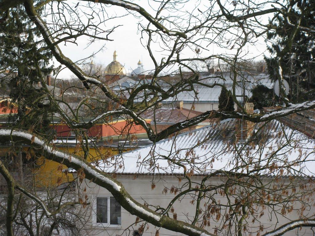 Кам'янка-Бузька з panoramio.com - Kamyanka-Buzka