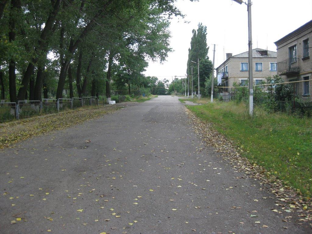 Центральний з panoramio.com - Центральный