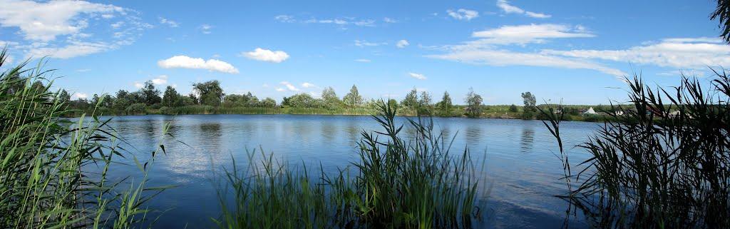 Соснівка з panoramio.com - Соснівка