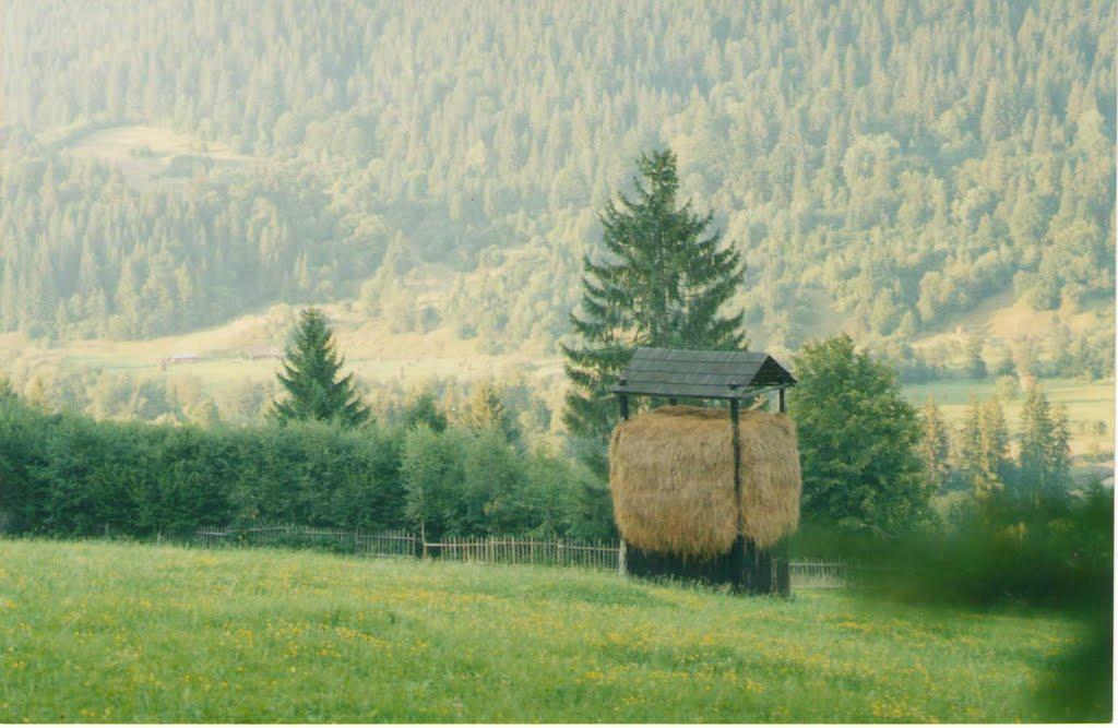 Фальків з panoramio.com (ч.2) - Фальків