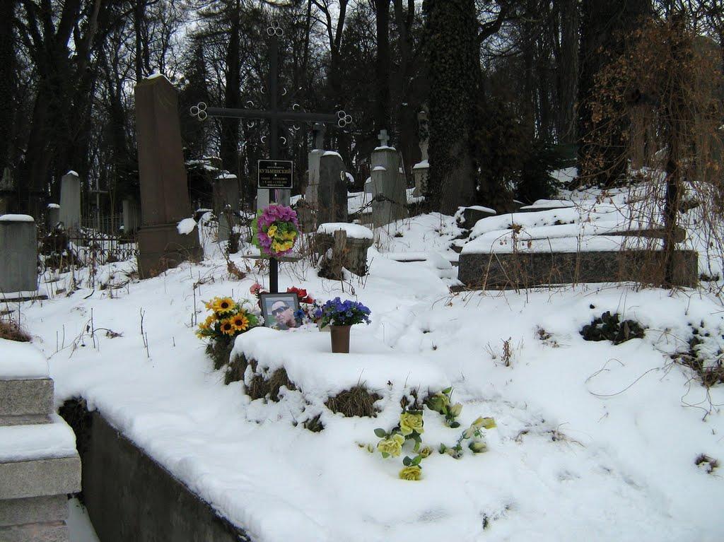 Дубове з panoramio.com - Дубове