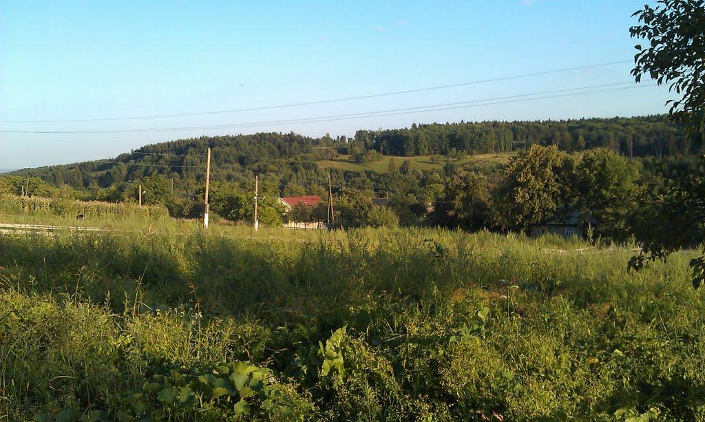 Комарівці з panoramio.com - Комаровцы