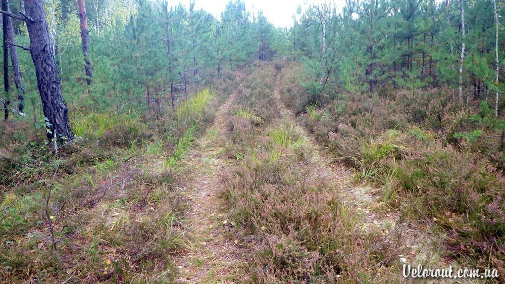 Червоносілка з panoramio.com - Червоносілка