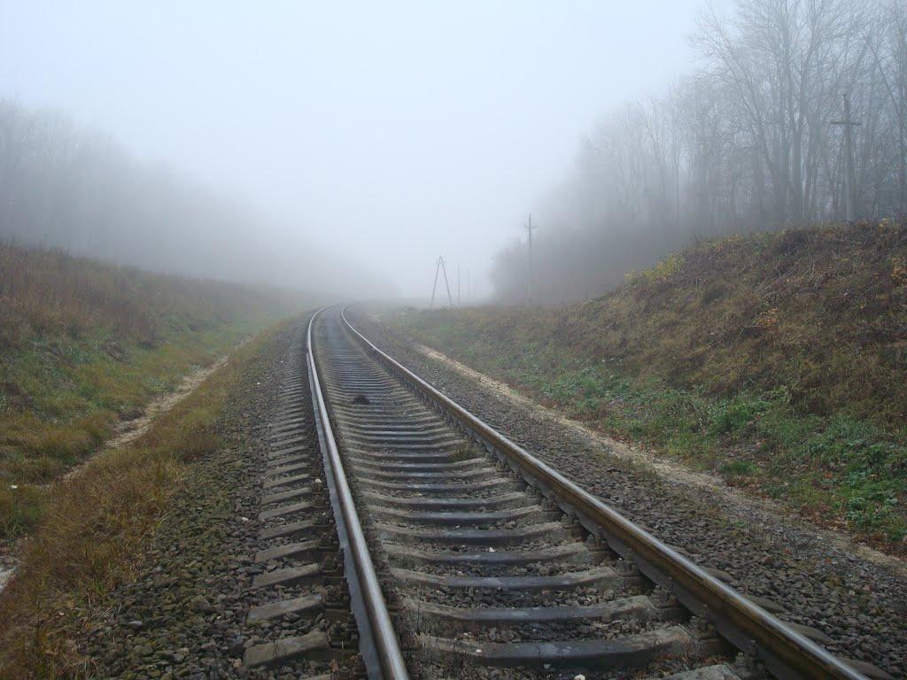 Томашівка з panoramio.com - Томашівка