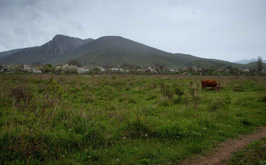 Лісне з panoramio.com - Лісне