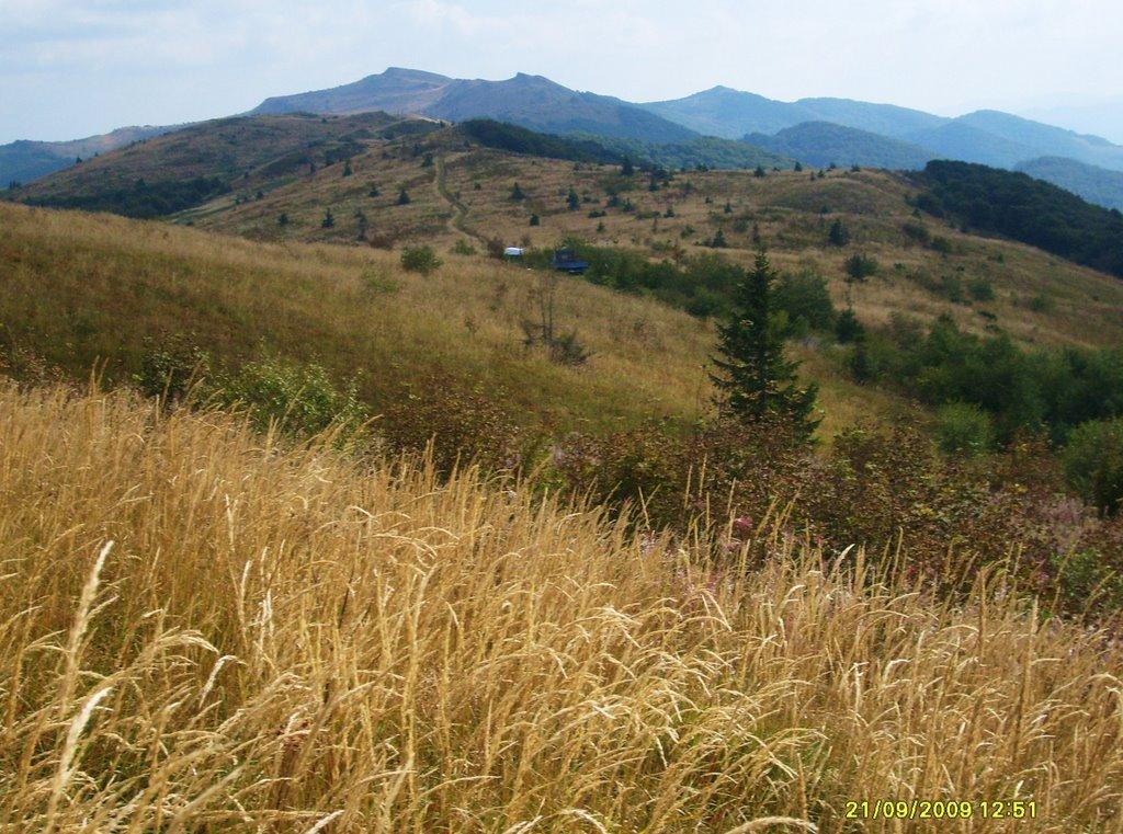 Верховина-Бистра з panoramio.com - Верховина-Бистра