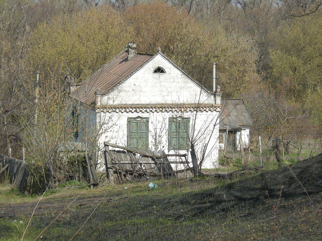 Карнаухівка з panoramio.com - Карнаухівка