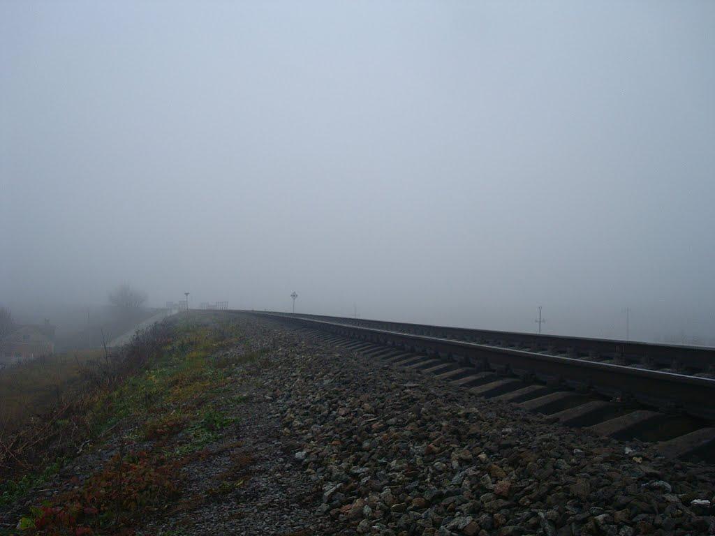 Томашівка з panoramio.com - Томашівка