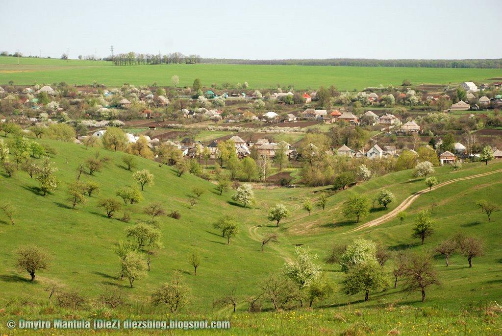 Вільшани з panoramio.com - Вільшани