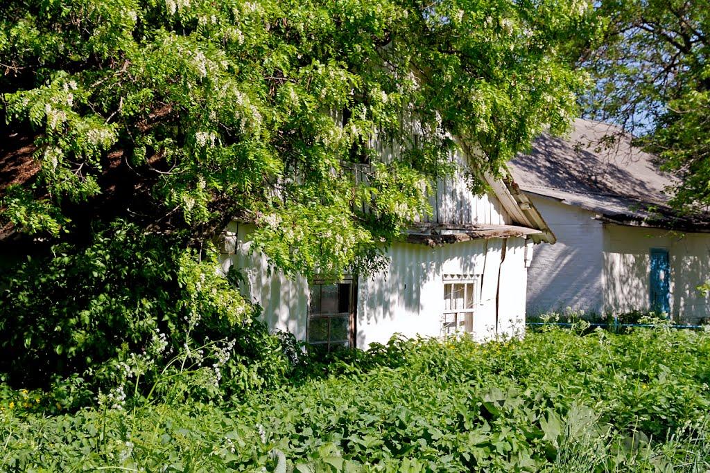 Витачів з panoramio.com - Витачев