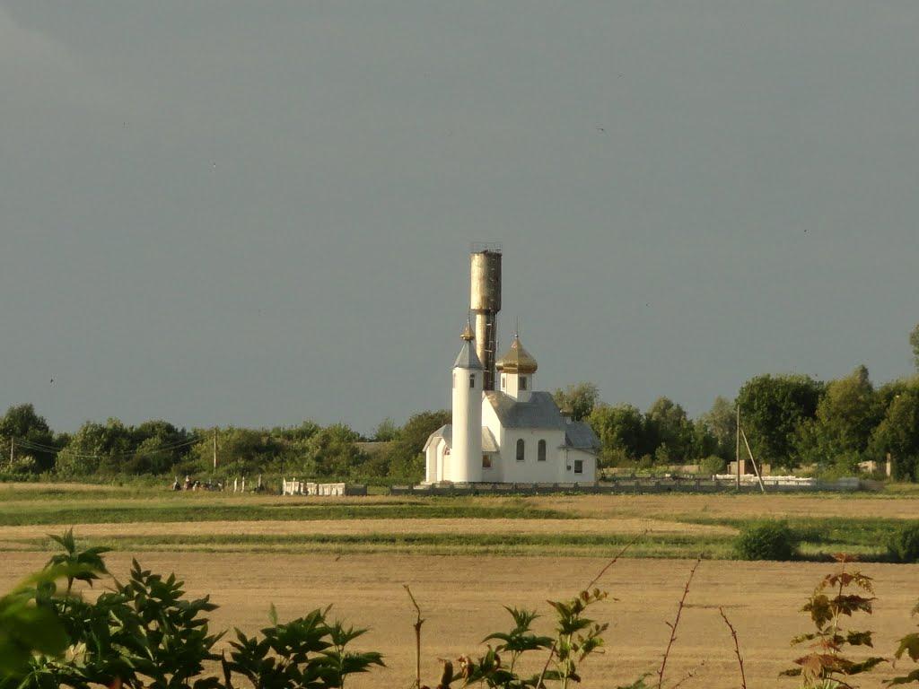 Бортниця з panoramio.com - Бортниця