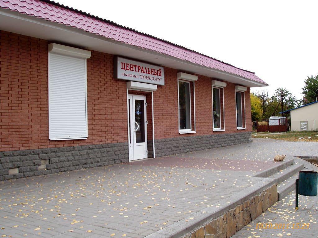 Петро-Михайлівка з panoramio.com - Петро-Михайлівка