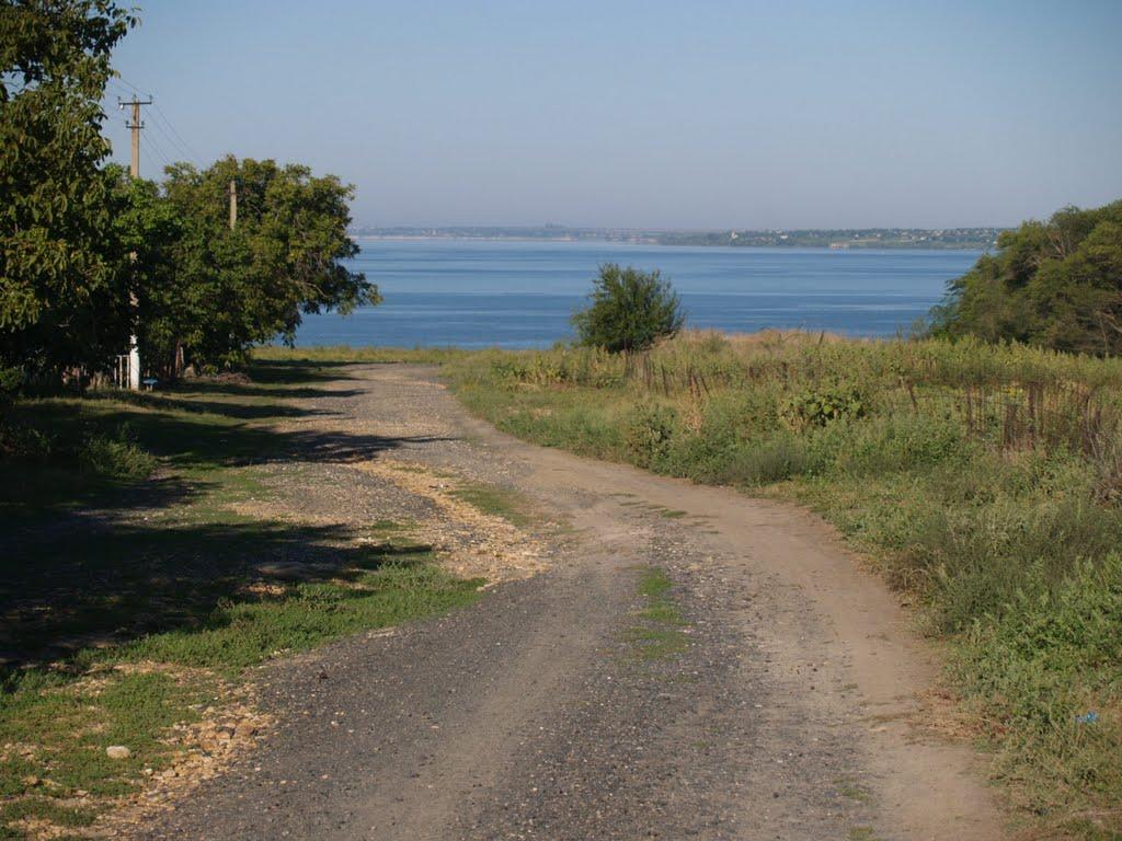 Василівка з panoramio.com - Vasylivka