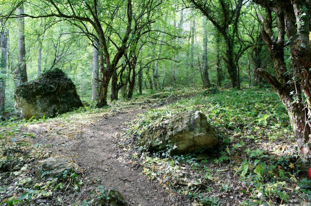 Баштанівка з panoramio.com - Баштанівка