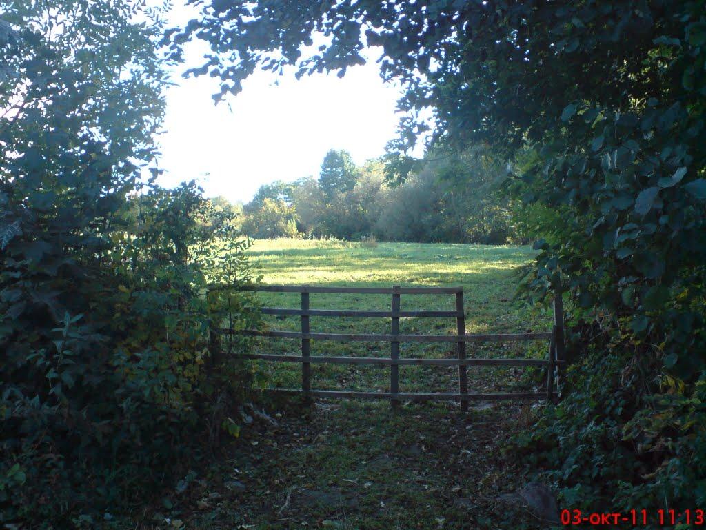 Новоселиця з panoramio.com - Новоселиця