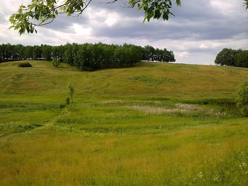 Бабенки з panoramio.com