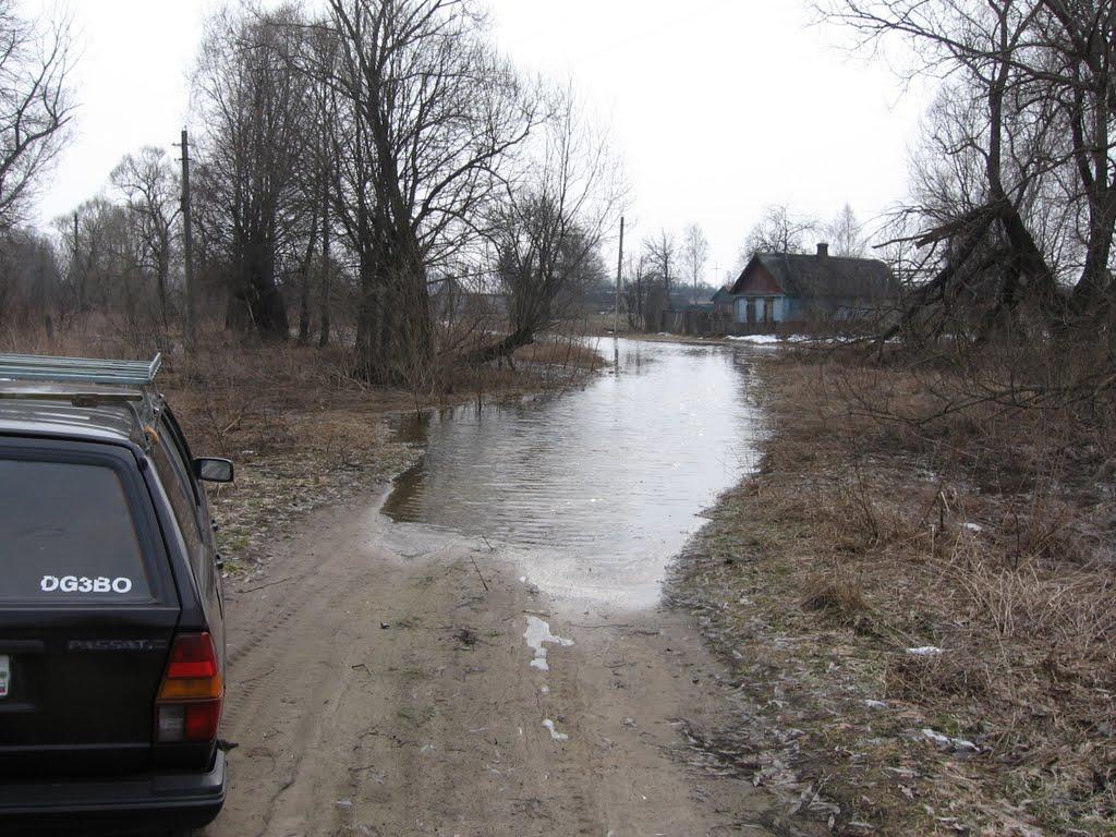 Красні Лози з panoramio.com - Красные Лозы