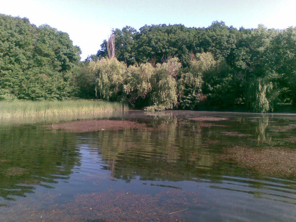 Гоголівка з panoramio.com - Гоголевка