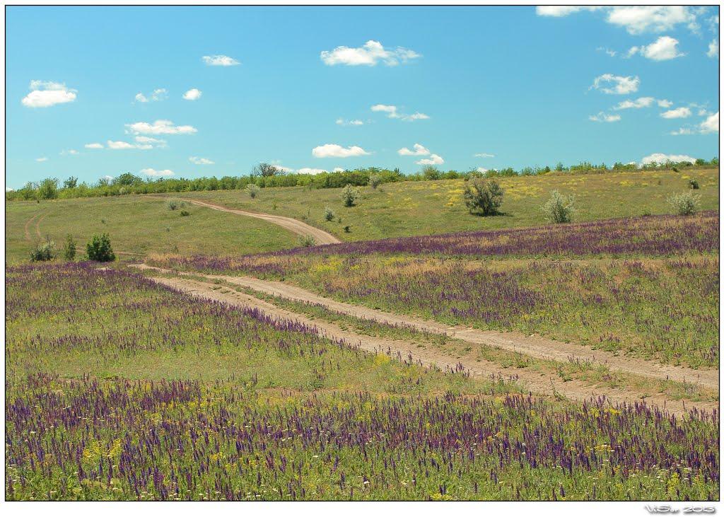 Виноградне з panoramio.com - Виноградне