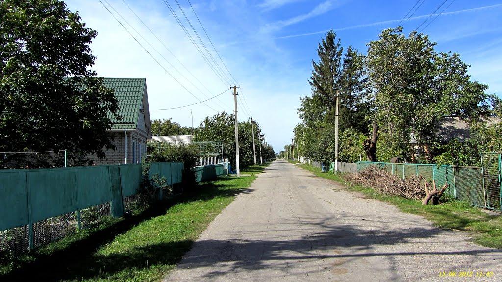 Петро-Михайлівка з panoramio.com - Петро-Михайлівка