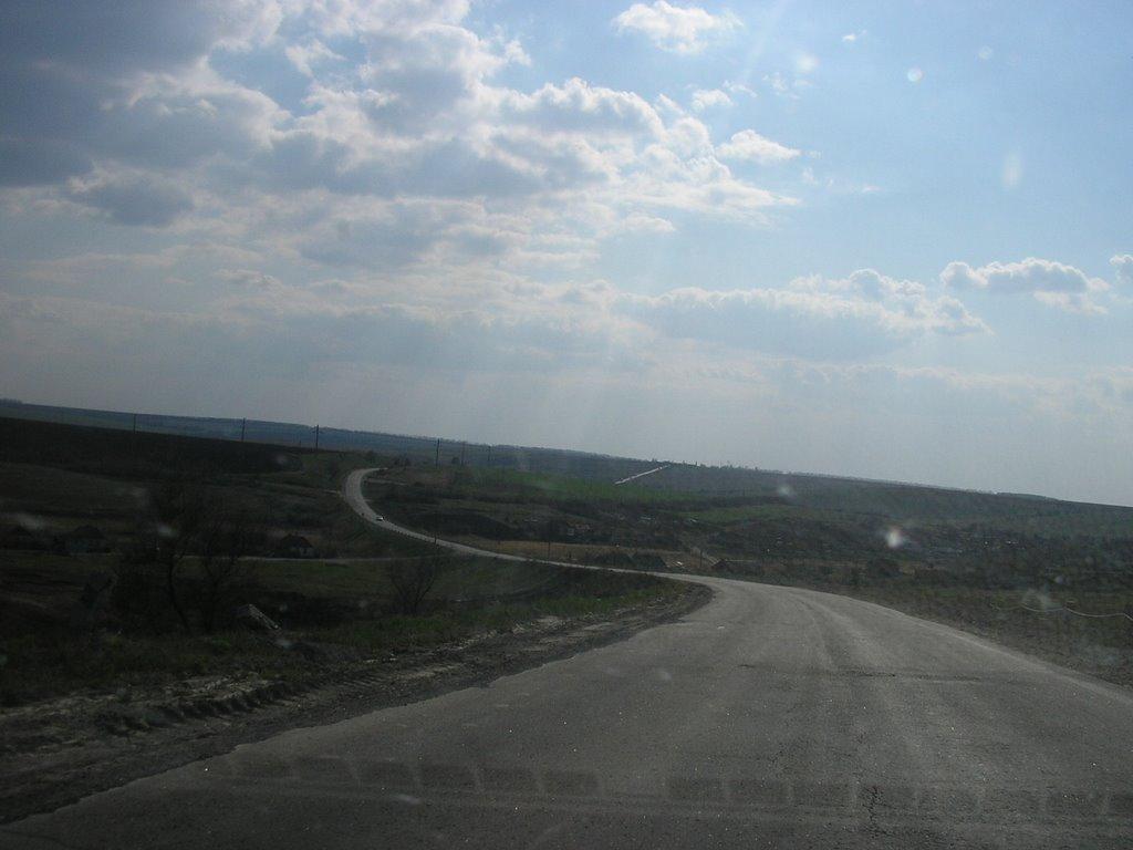 Берестове з panoramio.com - Берестове