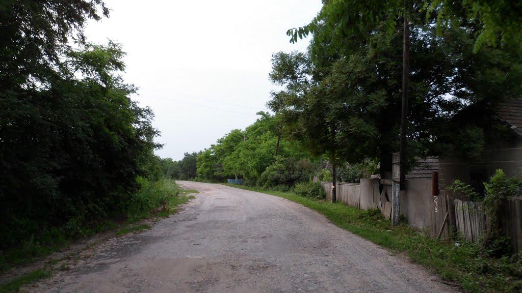 Ворвулинці з panoramio.com - Ворвулинцы