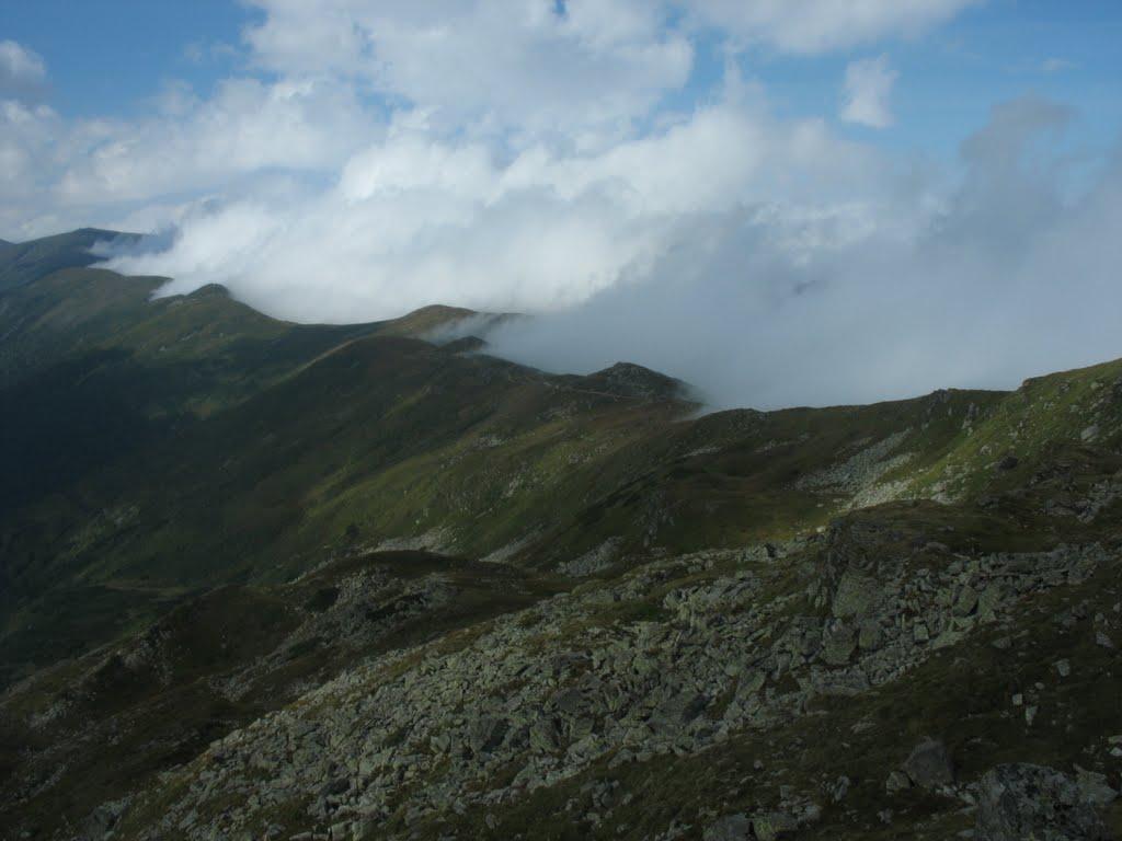 Берестечко з panoramio.com (ч.2) - Berestechko