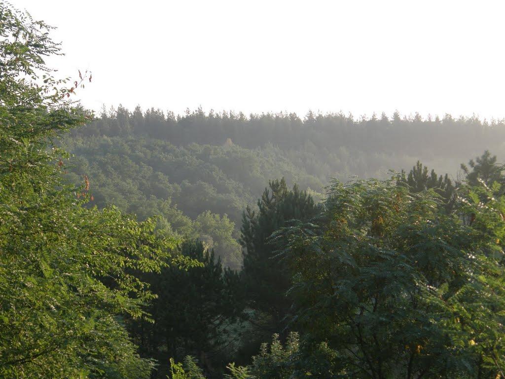 Троїцьке з panoramio.com - Троїцьке