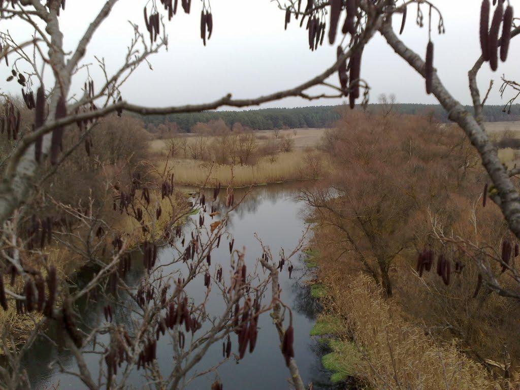 Кицівка з panoramio.com - Кицівка