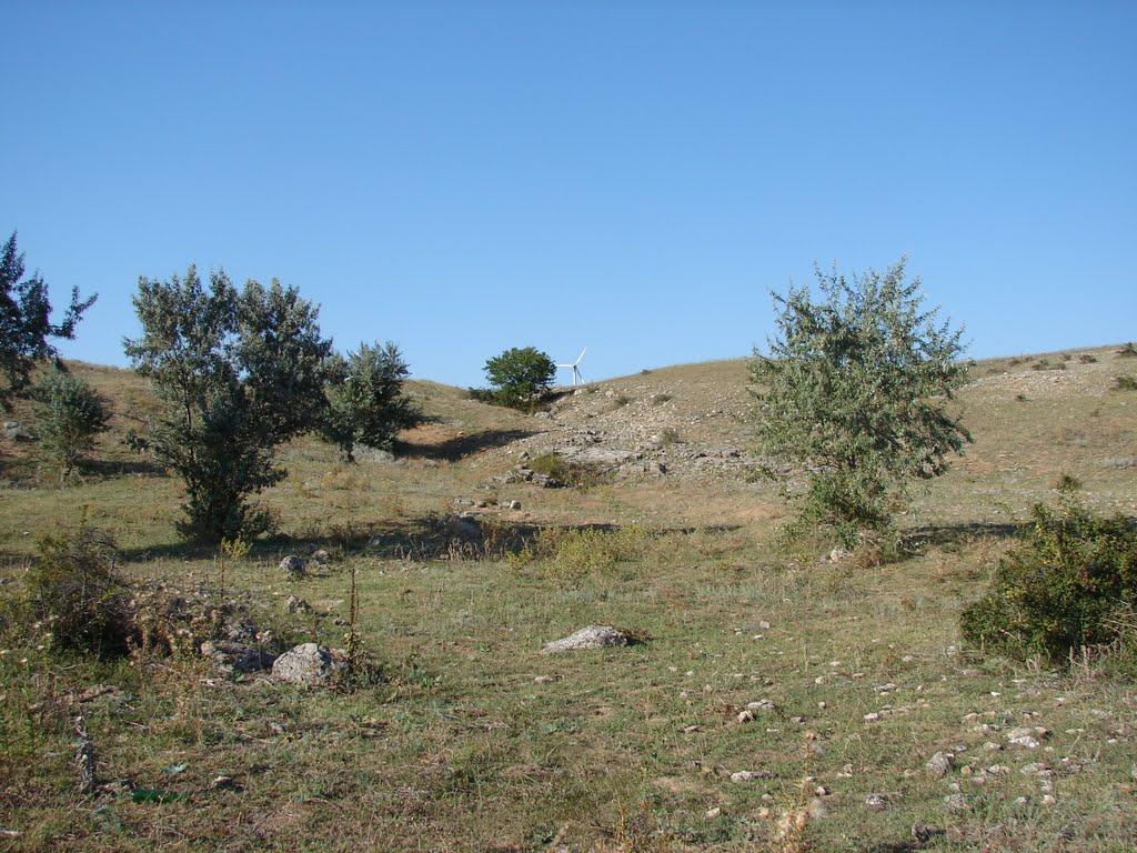 Окунівка з panoramio.com - Окуневка